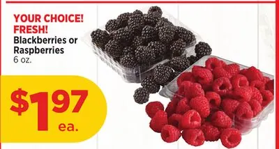 Blackberries or Raspberries
