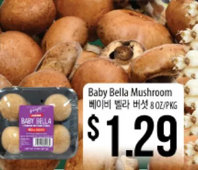 Baby Bella Mushroom