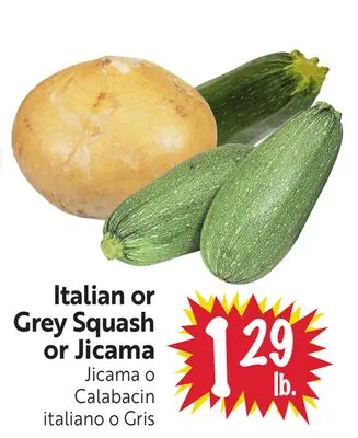 Italian or Grey Squash or Jicama