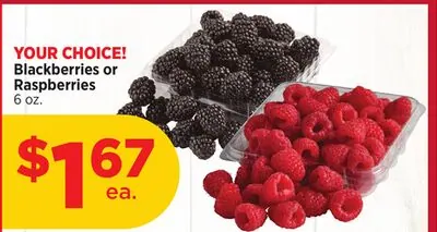 Blackberries or Raspberries