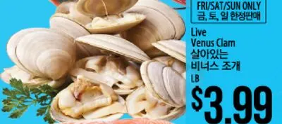 Live Venus Clam