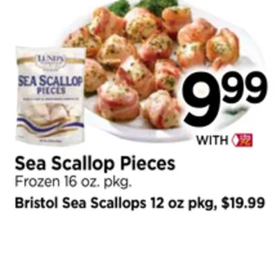 Sea Scallop Pieces