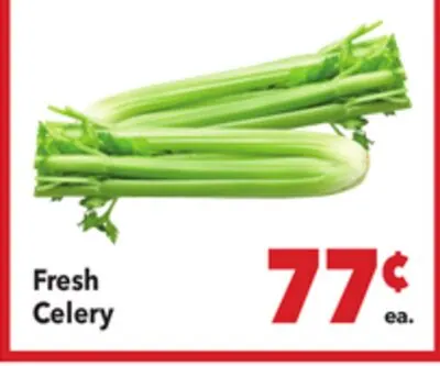 Fresh Celery