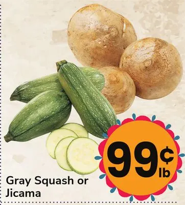 Gray Squash or Jicama