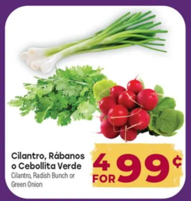 Cilantro, Rabanos o Cebolita Verde
