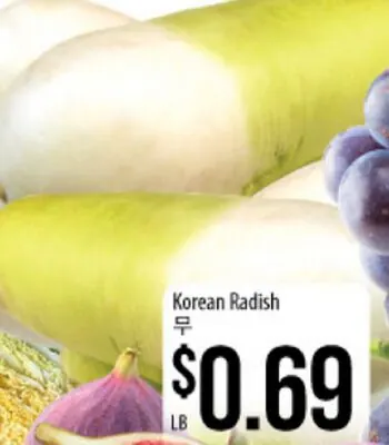 Korean Radish