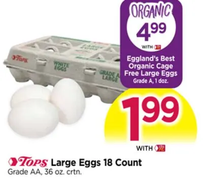 Large Eggs 18 Count