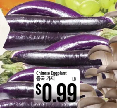 Chinese Eggplant