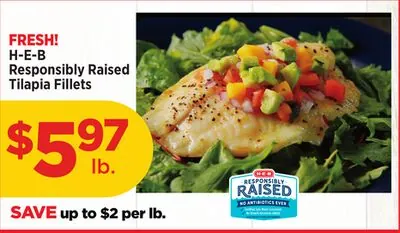 H-E-B Responsibly Raised Tilapia Fillets