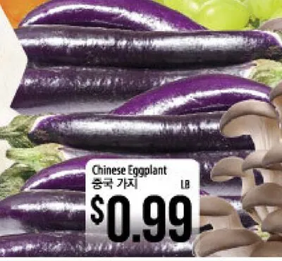 Chinese Eggplant