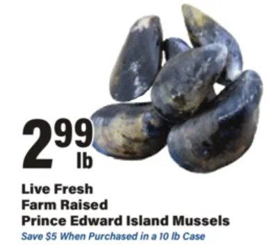 Live Fresh Farm Raised Prince Edward Island Mussels