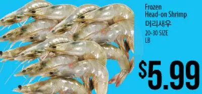 Frozen Head-on Shrimp