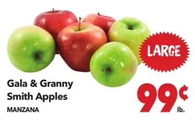 Gala & Granny Smith Apples / MANZANA