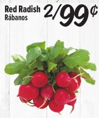 Red Radish/Rábanos