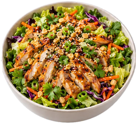 Asian Chicken Salad with its ingredients