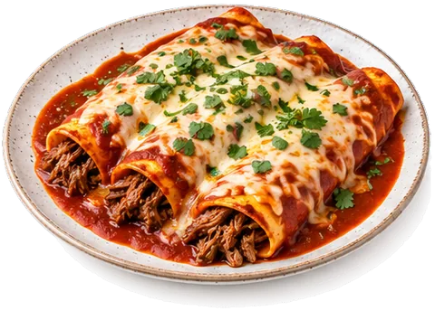 Red Beef Enchiladas with its ingredients