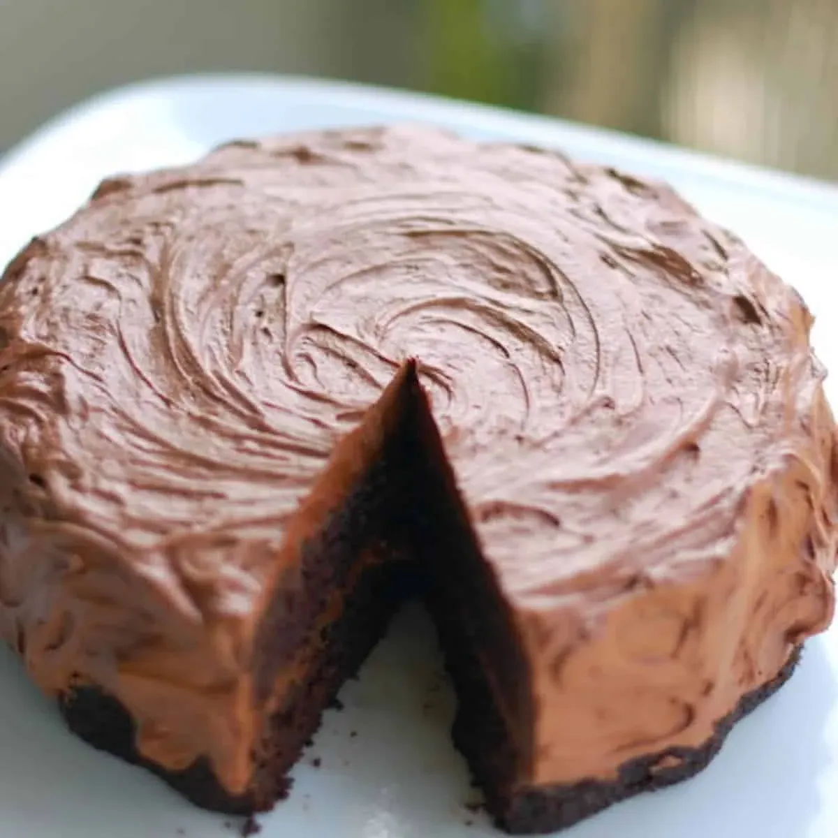 Double Chocolate Cake