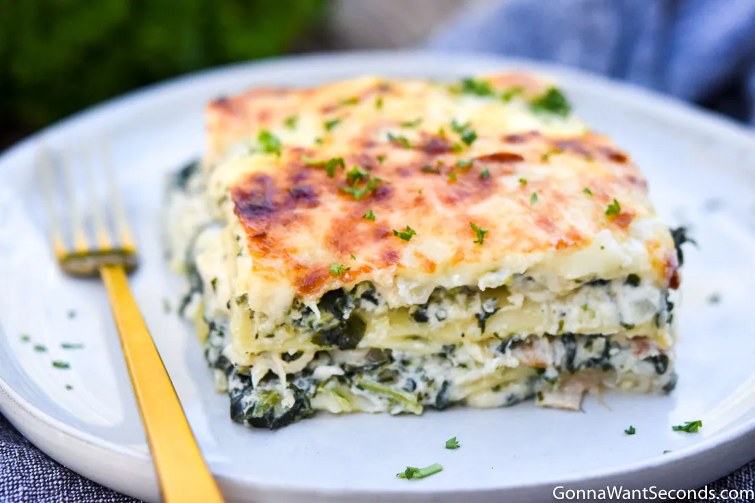 Chicken Alfredo Lasagna