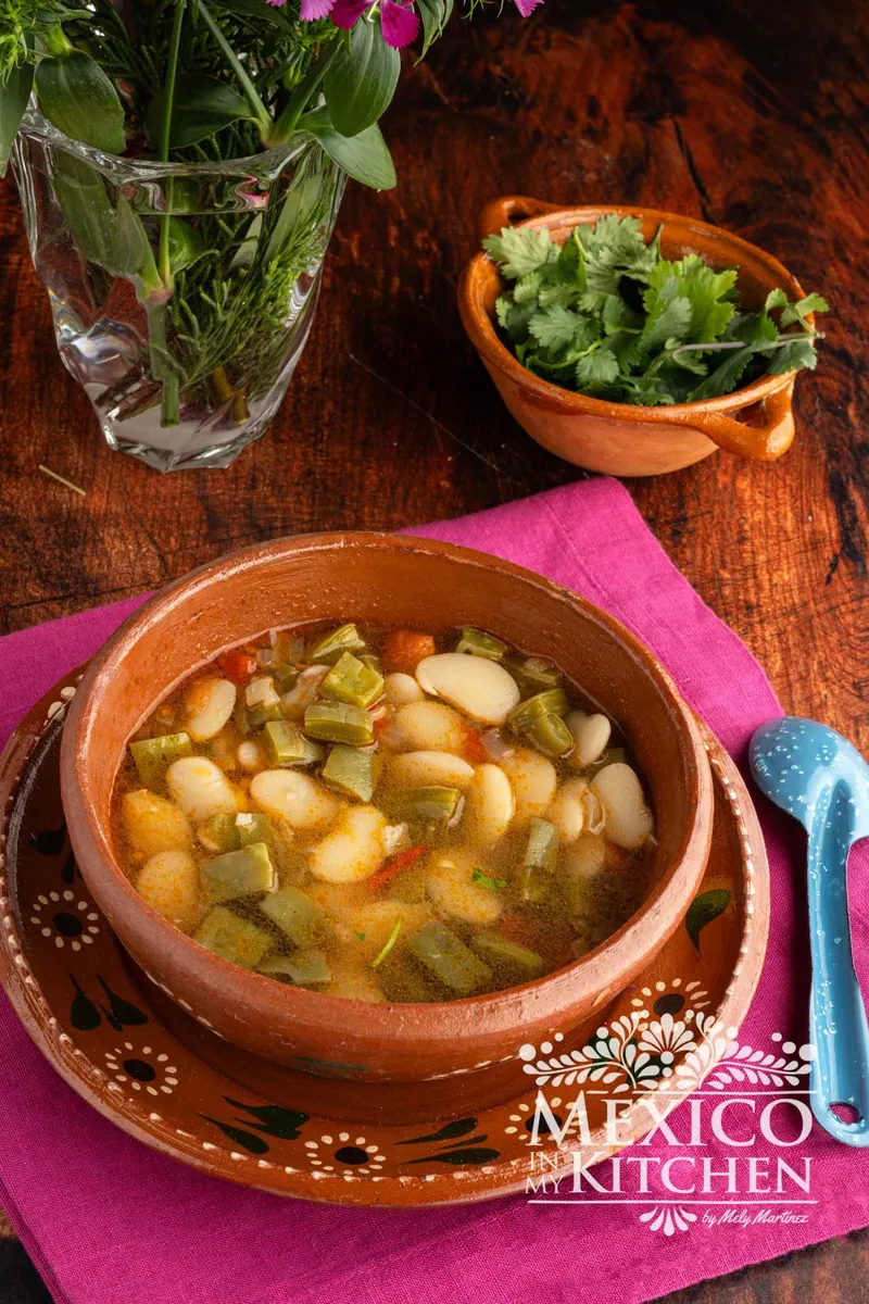 Mexican Vegan Fava Bean Soup