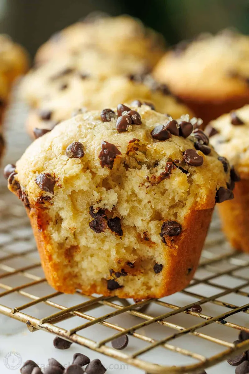 Chocolate Chip Muffins