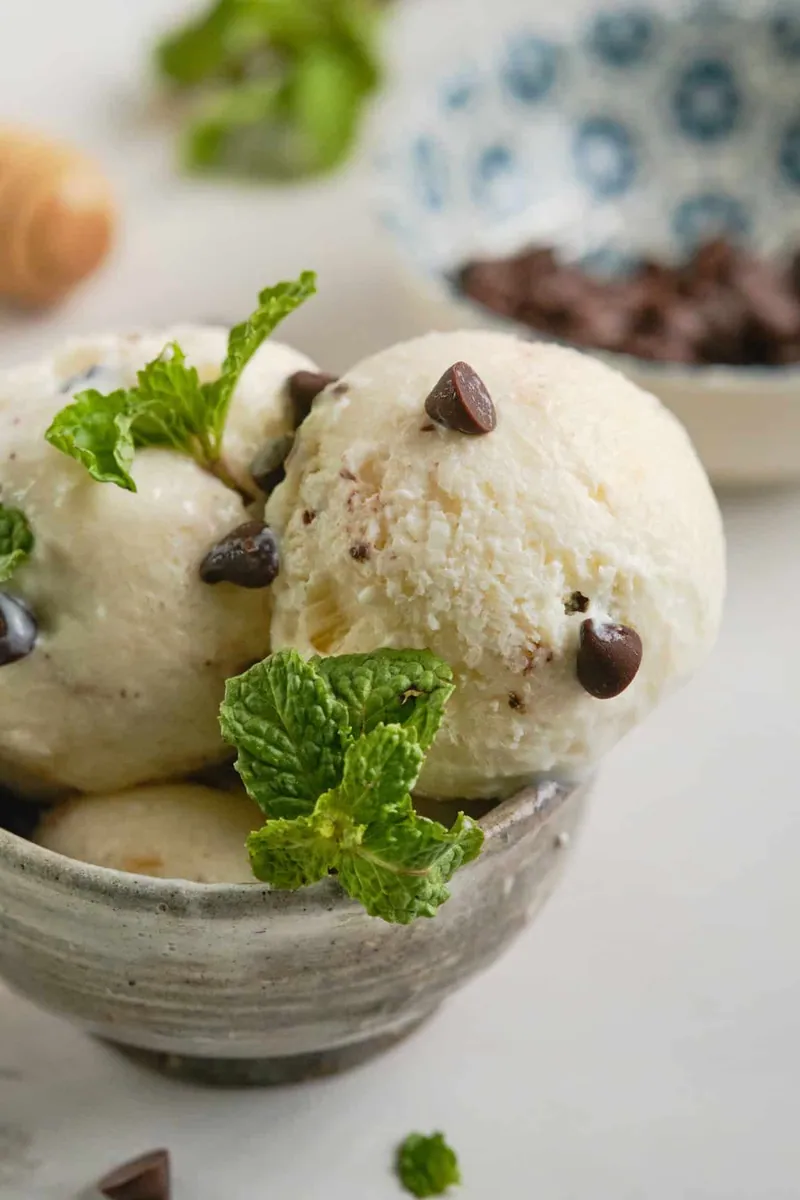 Cottage Cheese Ice Cream