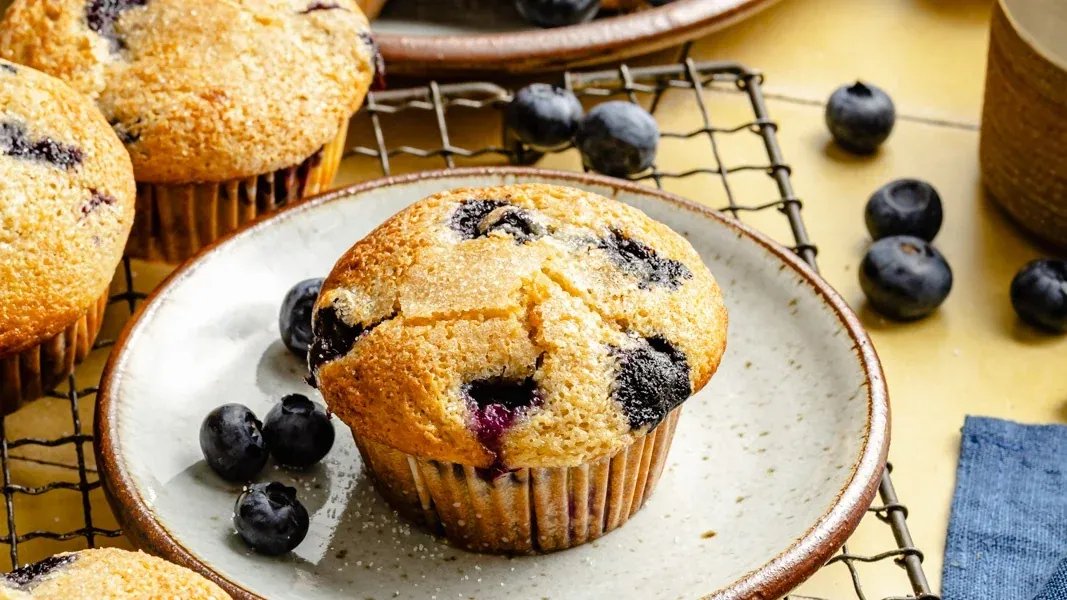 Blueberry Yogurt Muffins