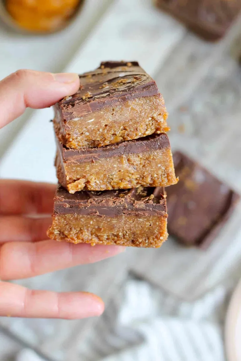 Chocolate Pumpkin Oat Bars