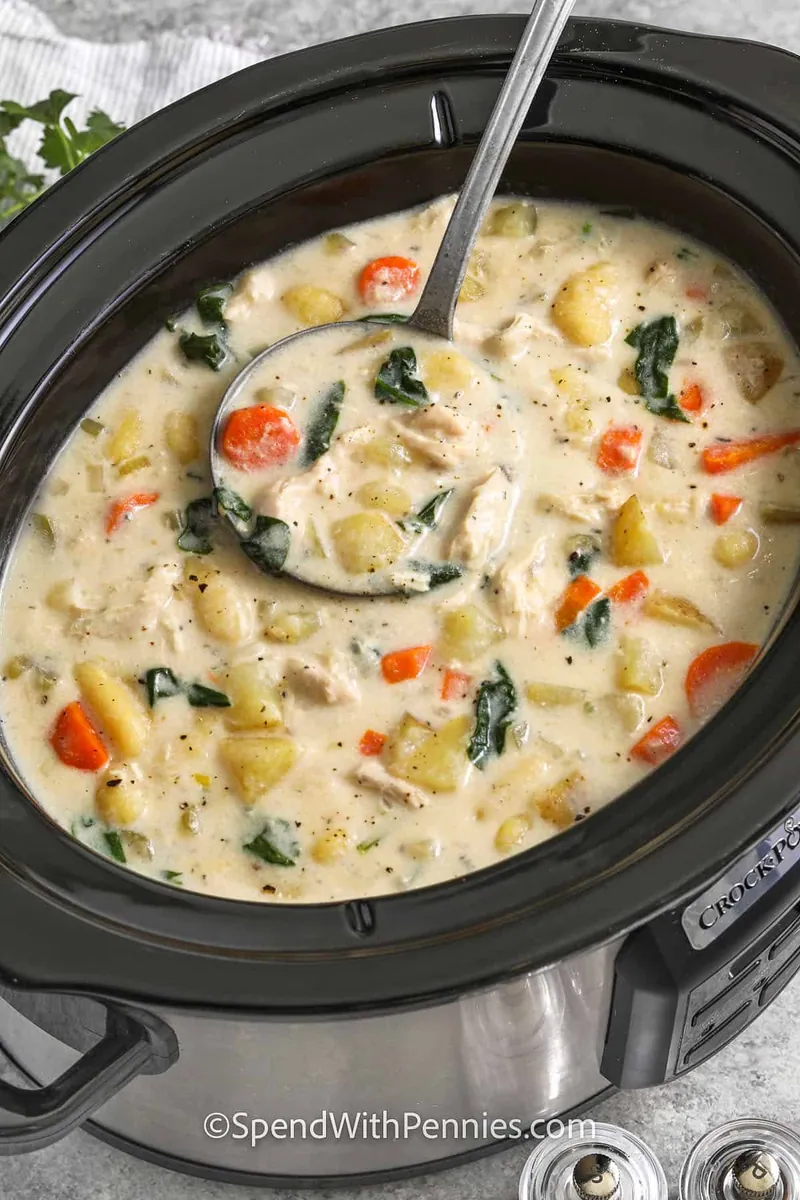 Crockpot Chicken Gnocchi Soup