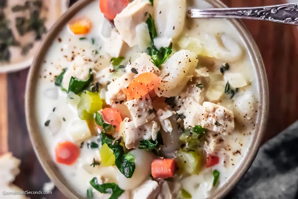 Chicken Gnocchi Soup with broth