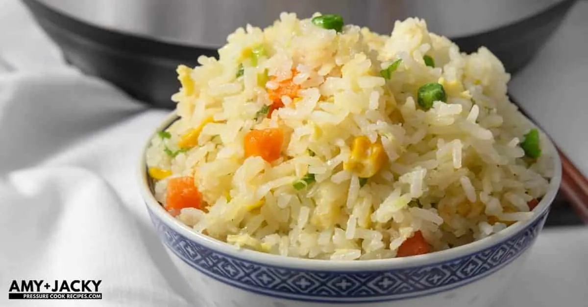 Instant Pot Fried Rice