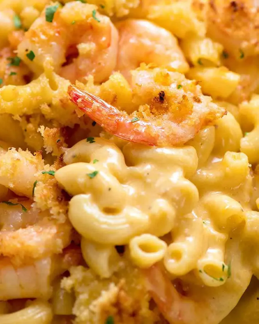 Garlic Shrimp Macaroni