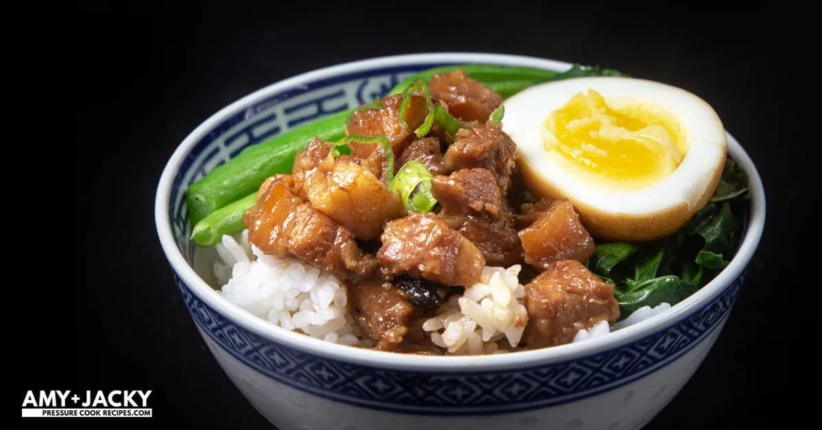Instant Pot Braised Pork