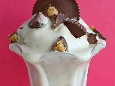 Peanut Butter Ice Cream