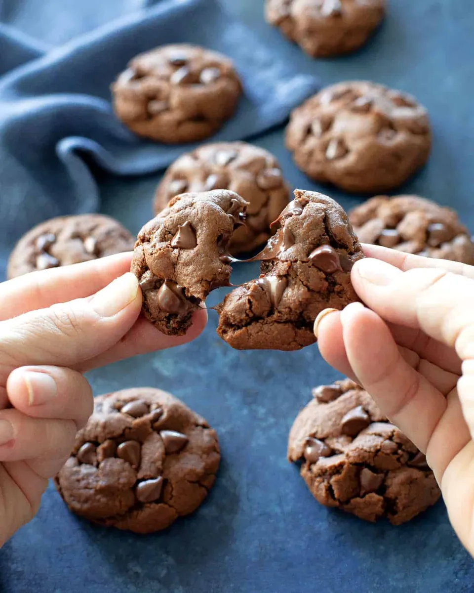 Double Chocolate Peanut Butter Cookies