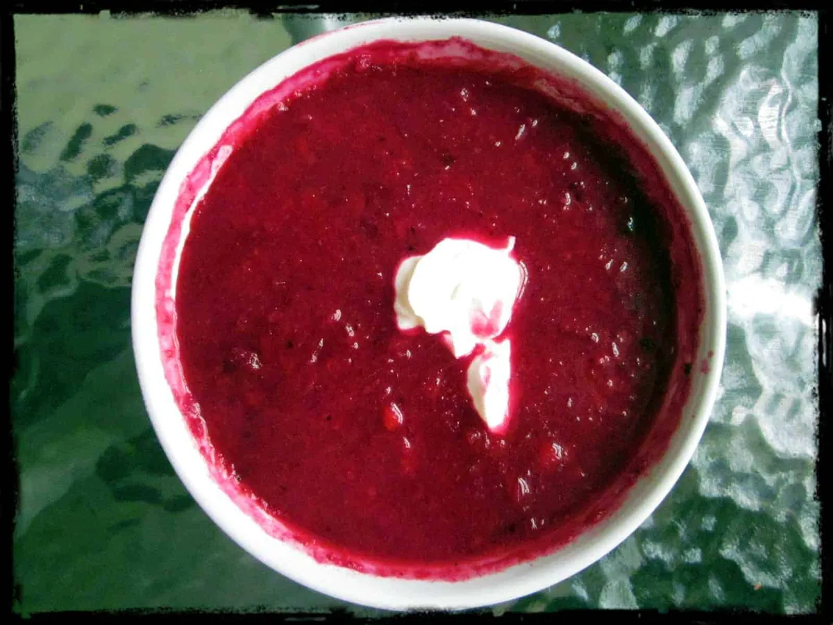 Sweet and Sour Borscht