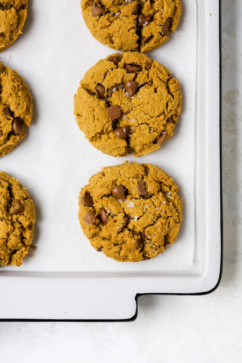 Pumpkin Chocolate Chip Cookies