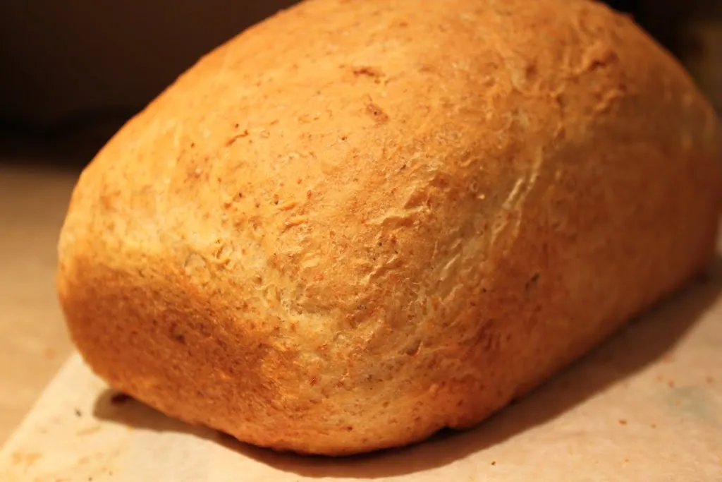 Olive Oil Bread and Pizza Base