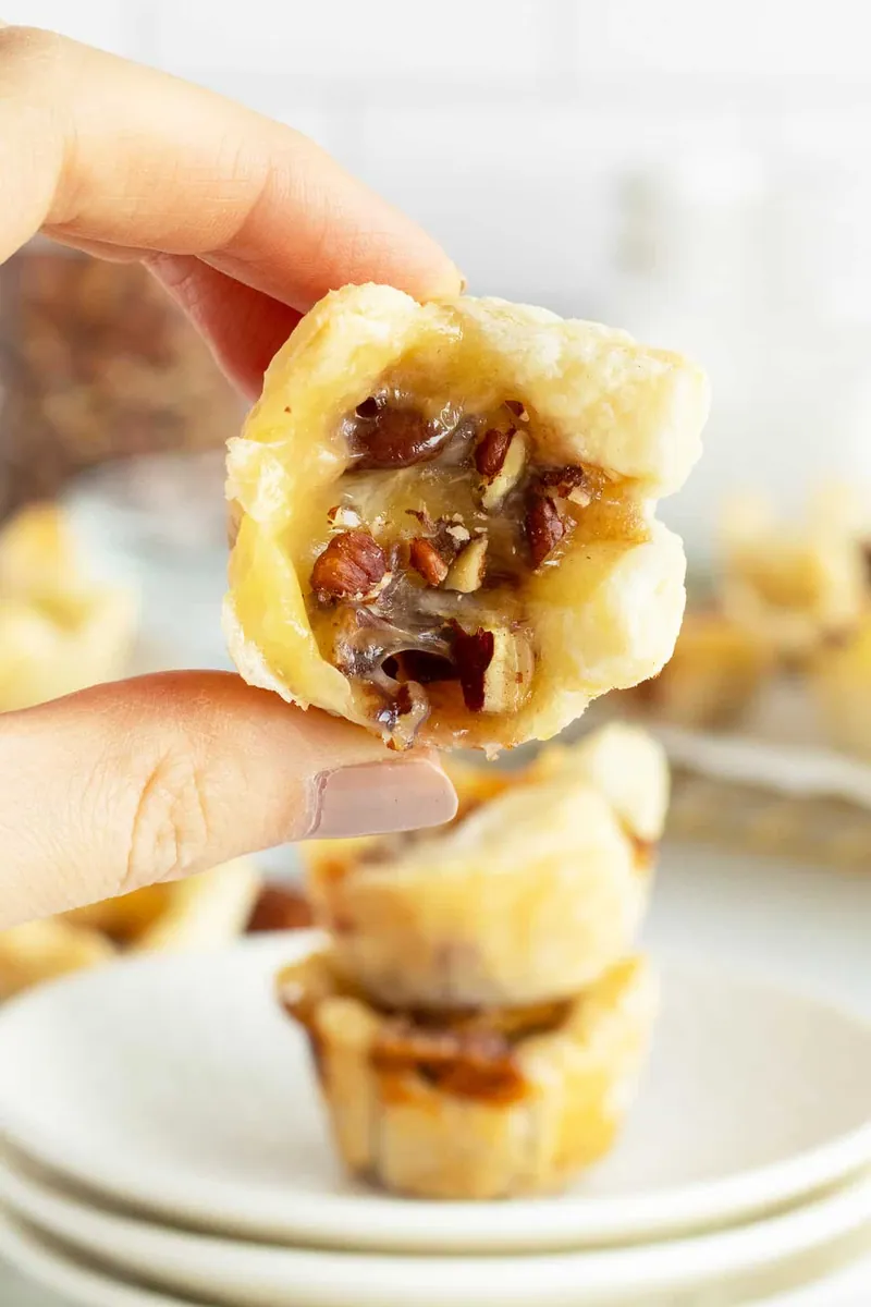 Cranberry Brie Bites with pie crust