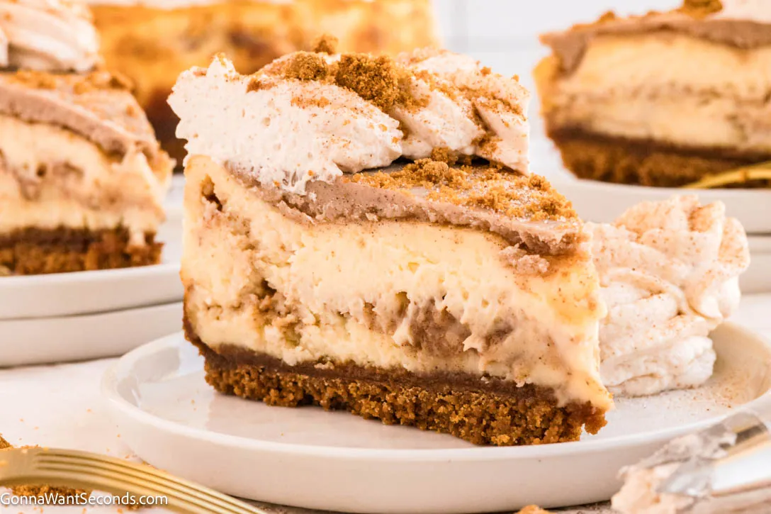 Churro Cheesecake with cream cheese