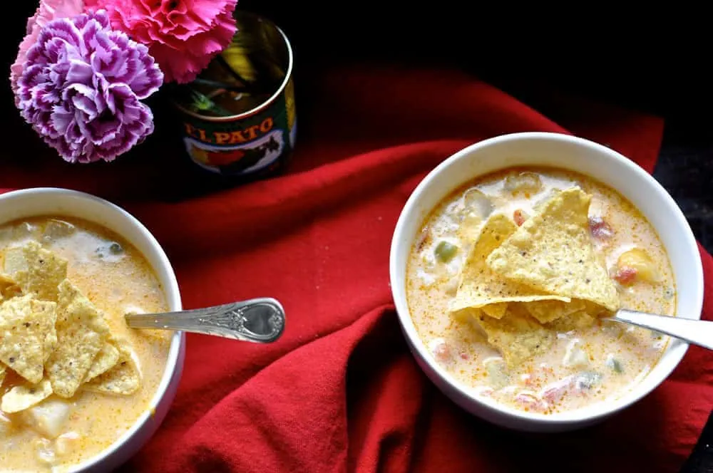 Mexican Potato Cheese Soup