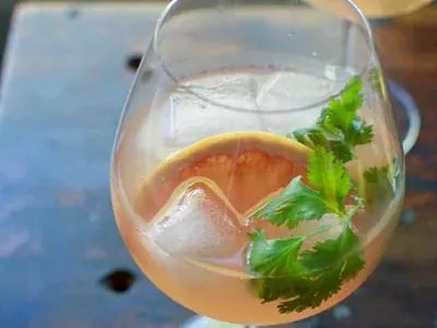 Pink Grapefruit Cilantro Gin Tonic