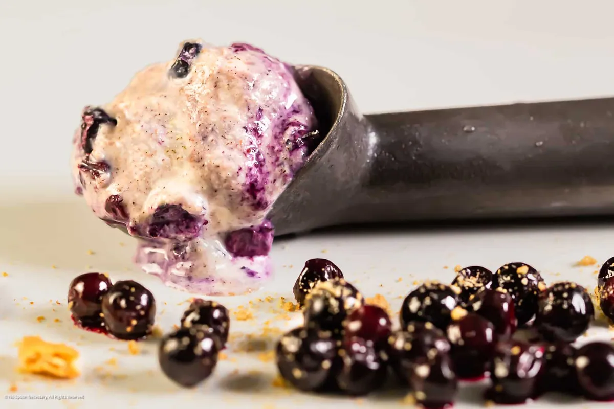 Blueberry Ice Cream