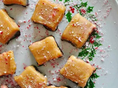 Peppermint Mocha Milk Fudge