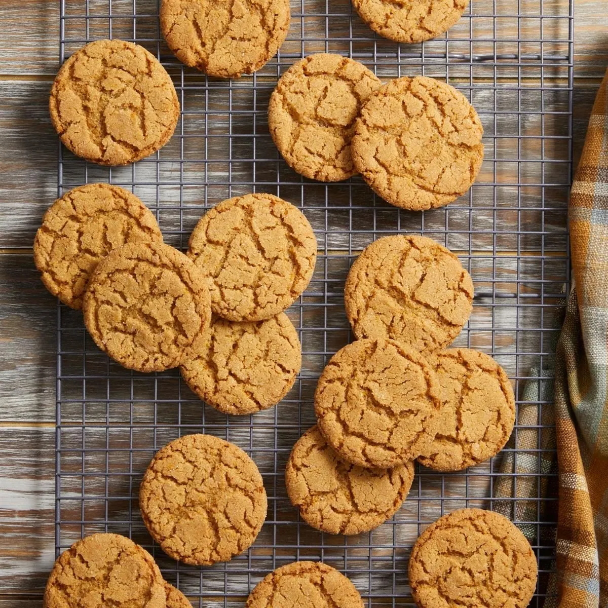 Cinnamon Crinkle Cookies