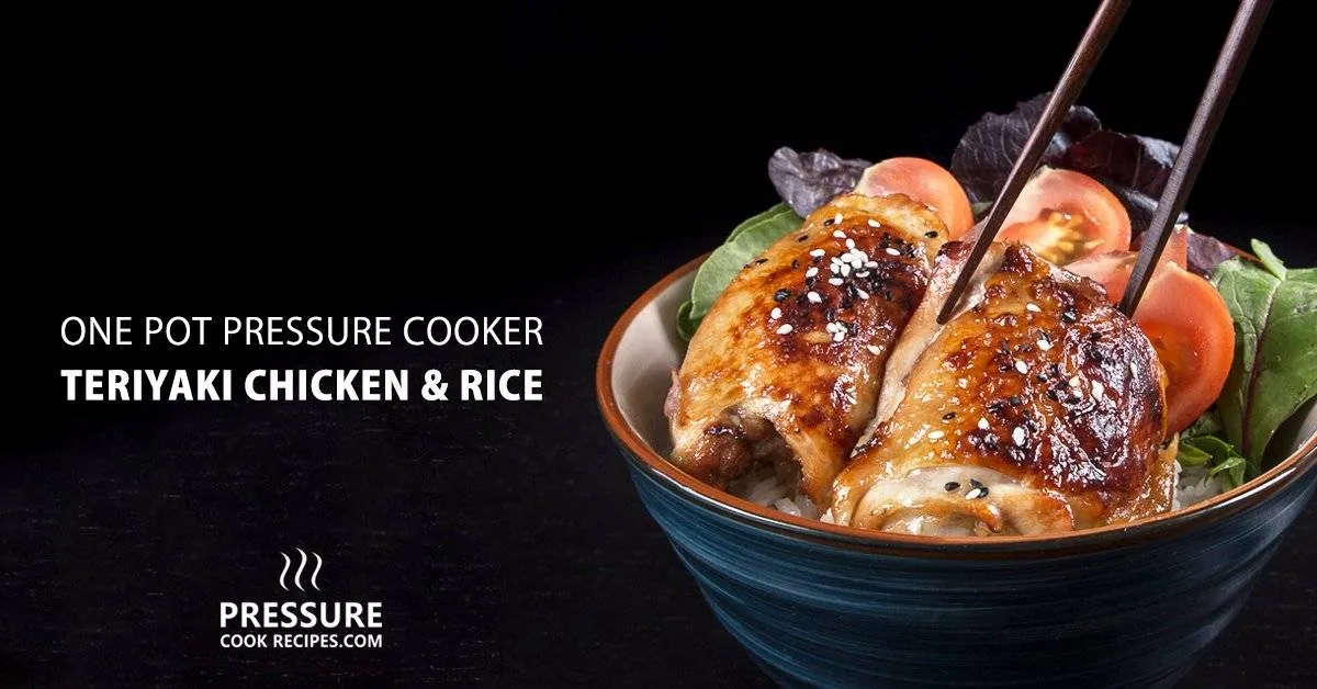Instant Pot Teriyaki Chicken