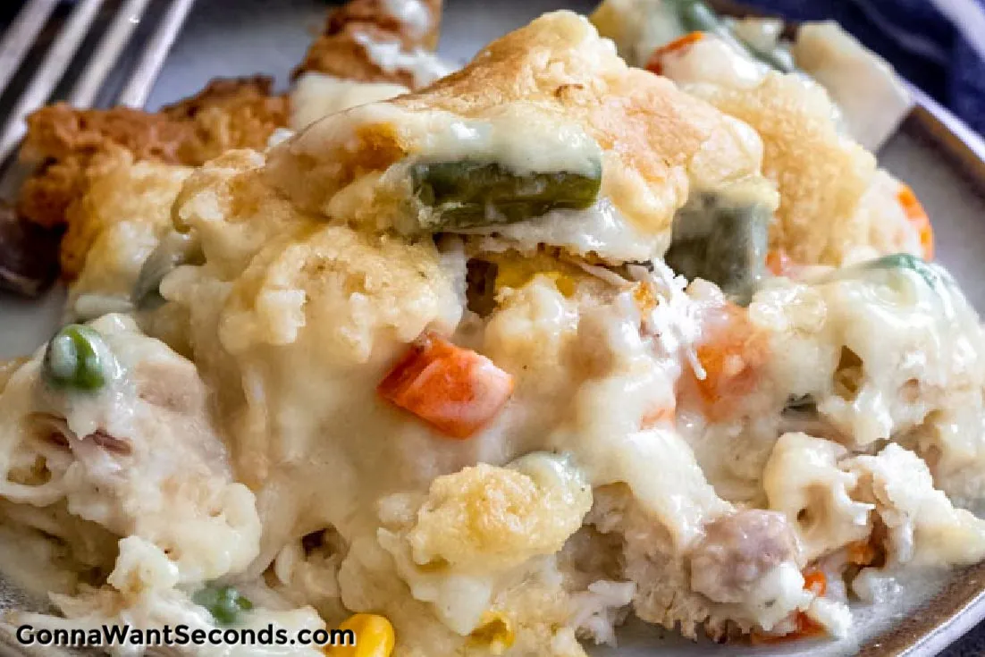Chicken Cobbler