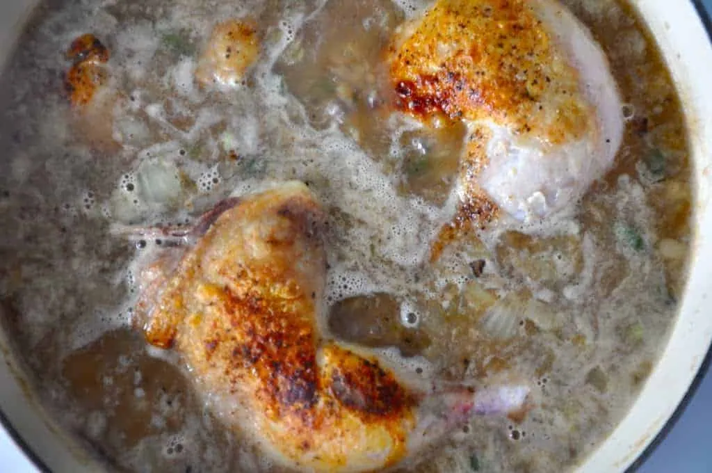 Beer Braised Chicken Dumplings