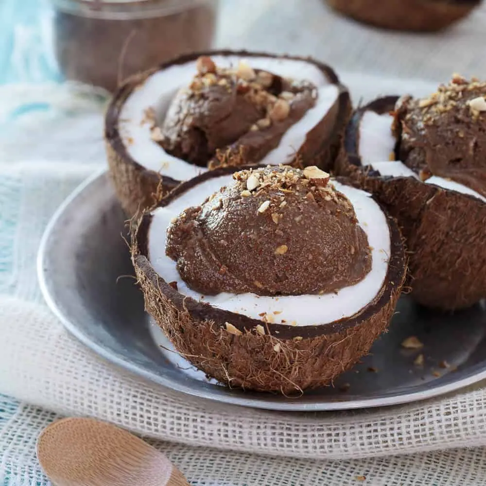 Chocolate Coconut Avocado Ice Cream