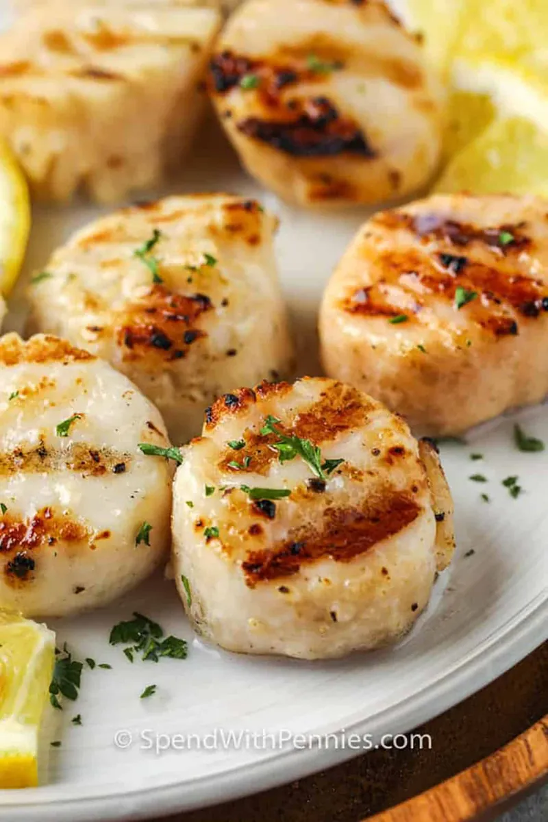 Grilled Sea Scallops