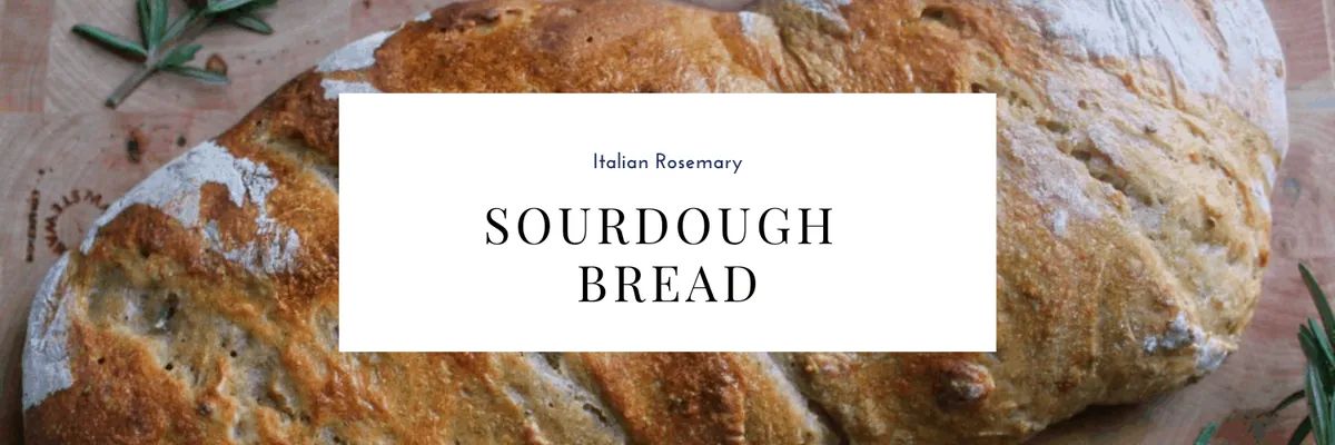Rosemary Sourdough Bread